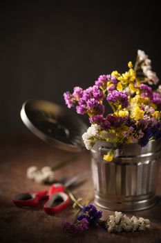 Statice Flower - Limonium with low key scene