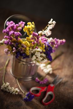 Statice Flower - Limonium with low key scene