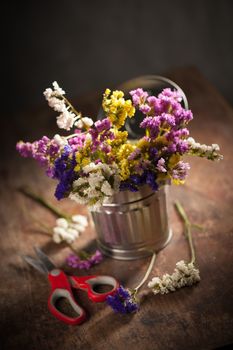 Statice Flower - Limonium with low key scene