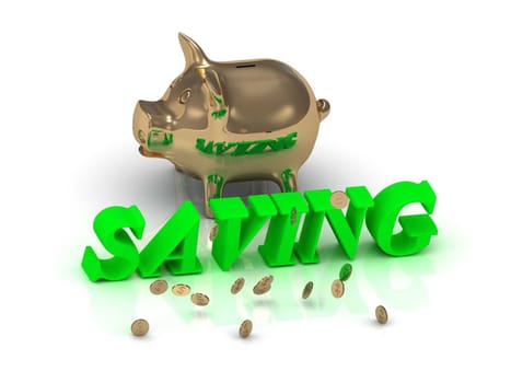 SAVING- inscription of green letters and gold Piggy on white background