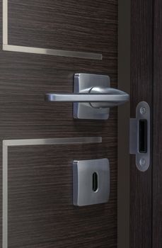 Modern contemporary satin handle and keyhole detail