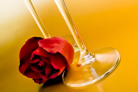 red rose arranged near wineglass on golden background