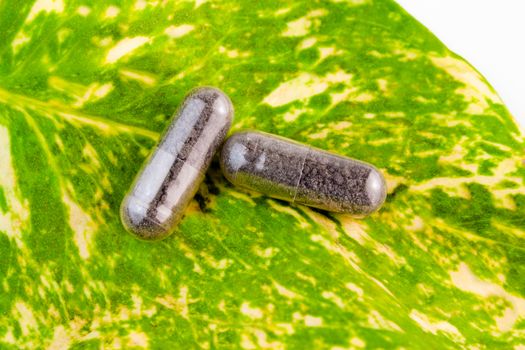 detail of herbal medicine pills on a leaf