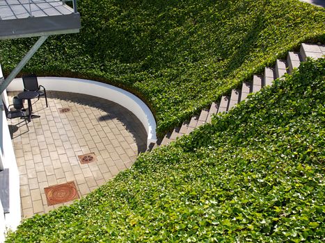 Ground small hill covered completely with lush green ivy