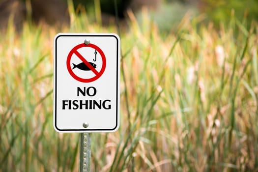 Sign in front of some tall grass showing no fishing allowed