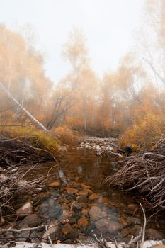 Autumn river at beauty morning  with fog