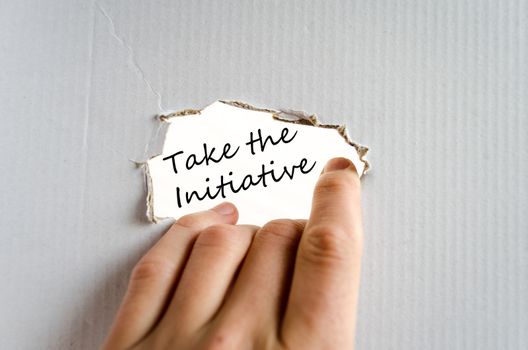 Take the initiative text concept isolated over white background