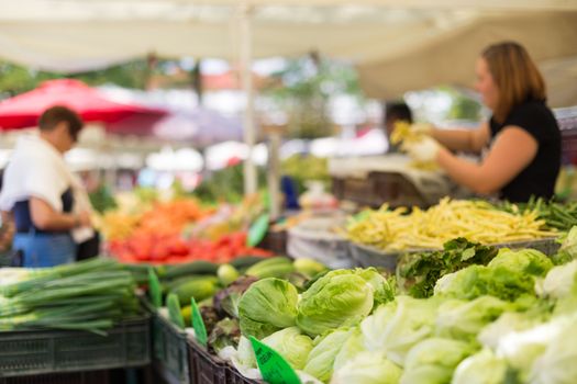 Farmers' food market stall with variety of organic vegetable. Vendor serving and chating with customers.