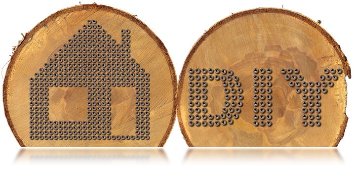 Many screws in the shape of house and text Diy (do it yourself) on two sections of tree trunks isolated on white background