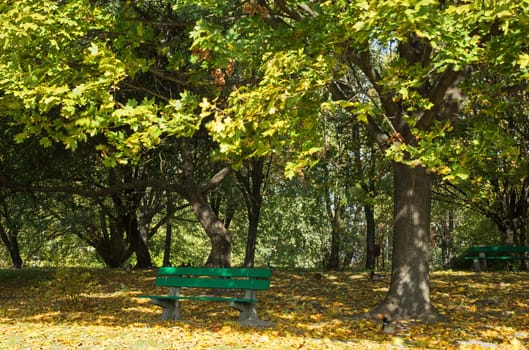 Poland.Warsaw in October.Autumn.An empty bench in the park.Horizontal view.