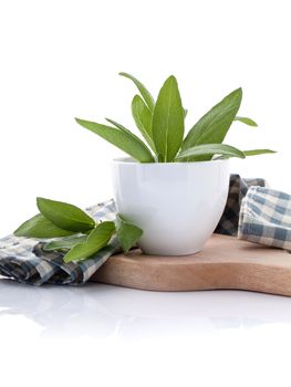 Branch of fresh sage or salvia in bowl on cutting board isolate on white background.