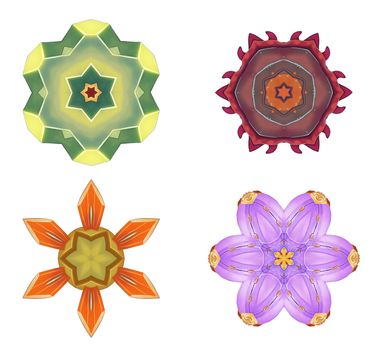 Illustration: Digital Art: Fractal Graphics: The Lord of Flowers Series 6. Element / Game Asset Design. Fantastic Style.