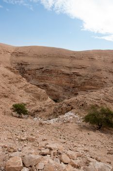 Wadi celt judean desert travel attraction in Israel