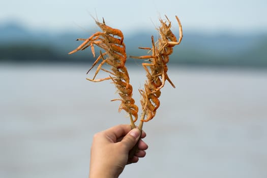Grilled Shrimp in hand with river