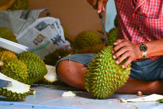 King of fruits, durian on white background