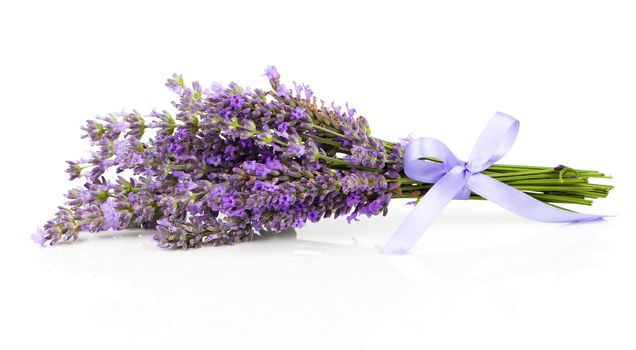 bunch of lavender flowers on a white background