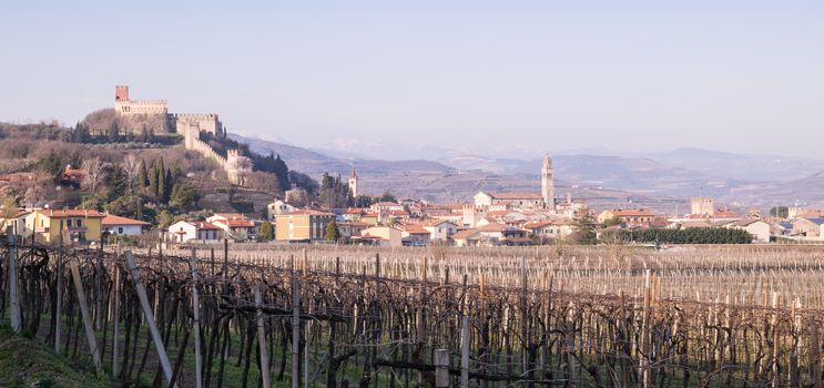 view of Soave (Italy) surrounded by vineyards that produce one of the most appreciated Italian white wines, and its famous medieval castle.