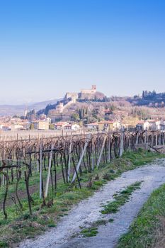 view of Soave (Italy) surrounded by vineyards that produce one of the most appreciated Italian white wines, and its famous medieval castle.