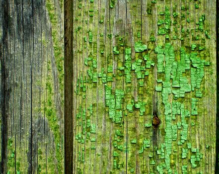 Natural Weathered Wooden Background with Timber Knots Old Nails and Cracked Paint closeup