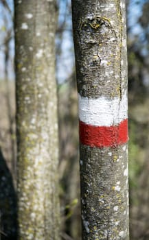 markings which indicate the continuity, in both directions, of a route marked. The colors adopted by the CAI (Italian Alpine Club) for trail marking are red and white