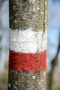 markings which indicate the continuity, in both directions, of a route marked. The colors adopted by the CAI (Italian Alpine Club) for trail marking are red and white