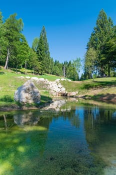 Small pond in the woods of the Italian Alps.