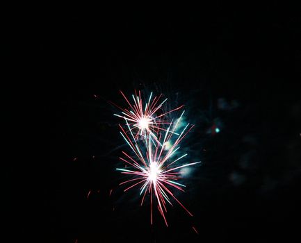 Celebration firework in the black night sky