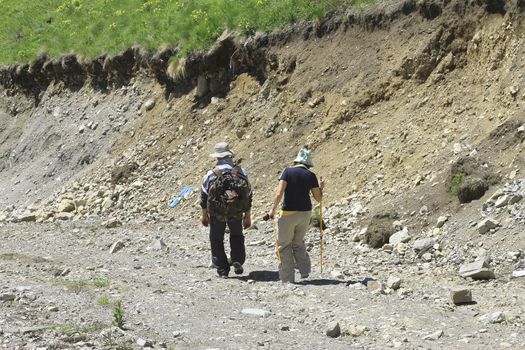 Group of Tourists going for track in summer forest