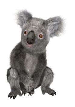 3D digital render of a cute koala sitting isolated on white background