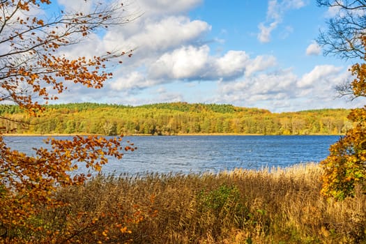 View over lake Wannsee in autumn - colorful forest landscape