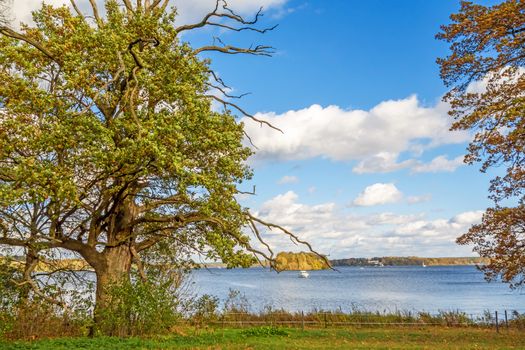 View over lake Wannsee in autumn with green tree on the left