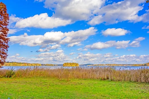 View over lake Wannsee in autumn with green tree on the left