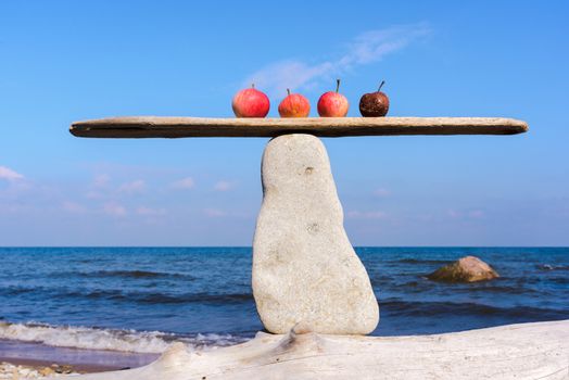 Fresh apples and rotten in balance on narrow plank
