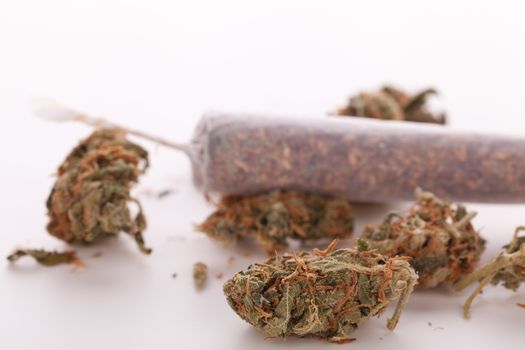 Close up of dried marijuana leaves and tied end of marijuana joint with translucent rolling paper on white background