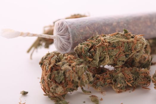 Close up of dried marijuana leaves and tied end of marijuana joint with translucent rolling paper on white background