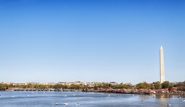 Washington Monument in Washington D.C. behind the Tidal Basin