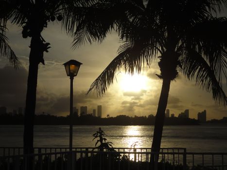 Miami backlight view at sunset