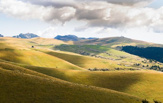 View of meadows in the mountains that create sinuous lines.