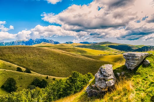 View of meadows in the mountains that create sinuous lines.