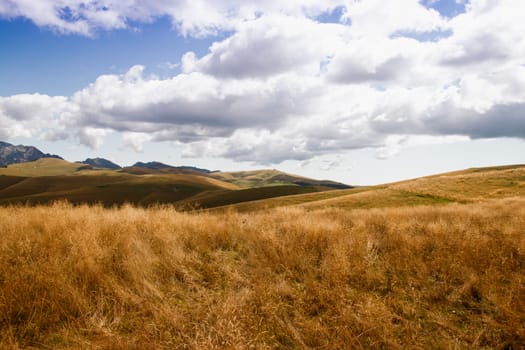 View of meadows in the mountains that create sinuous lines.