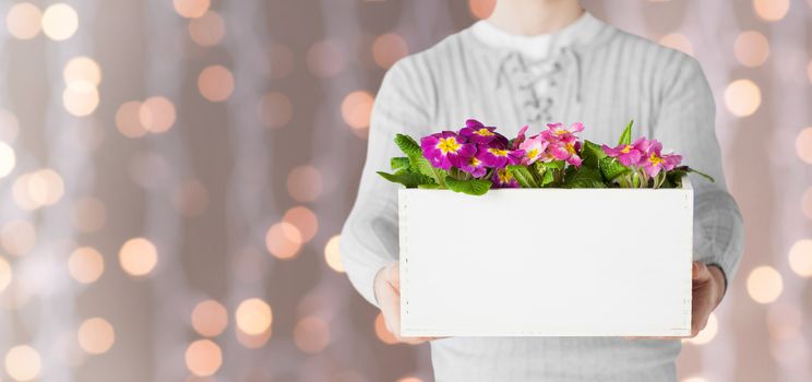 gardening, holidays and people concept - close up of man holding big pot with flowers over lights background