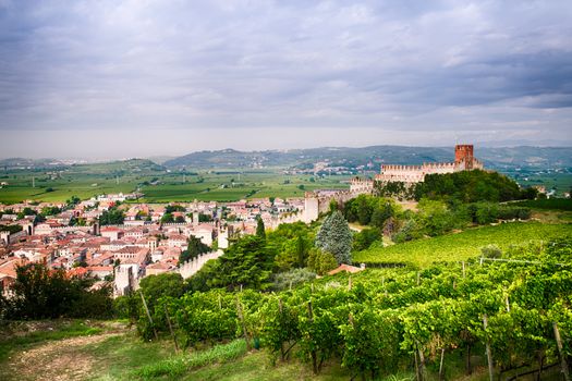 view of Soave (Italy) surrounded by vineyards that produce one of the most appreciated Italian white wines, and its famous medieval castle.