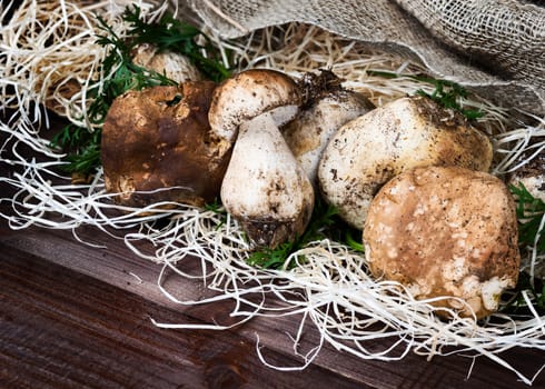 Pictured mushrooms(Boletus edulis,Porcini) - king of pore fungi,placed on straw and jute sack on wooden background.