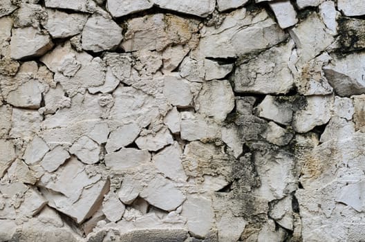 White brick wall background.