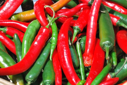 Fresh Red and Green Chillies