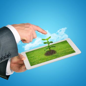 Businessman pointing at tablet with plant on blue background
