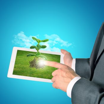Businessman touching tablet with plant on blue background