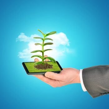 Businessman holding smartphone with plant on blue background