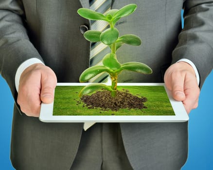 Businessman holding tablet with plant on blue background