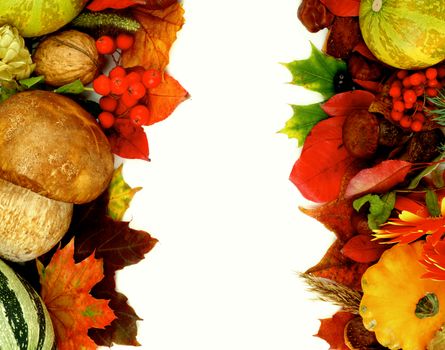 Frames Autumn Harvest with Leafs, Vegetables, Berries, Rowan, Mushrooms, Flowers and Nuts isolated on white background